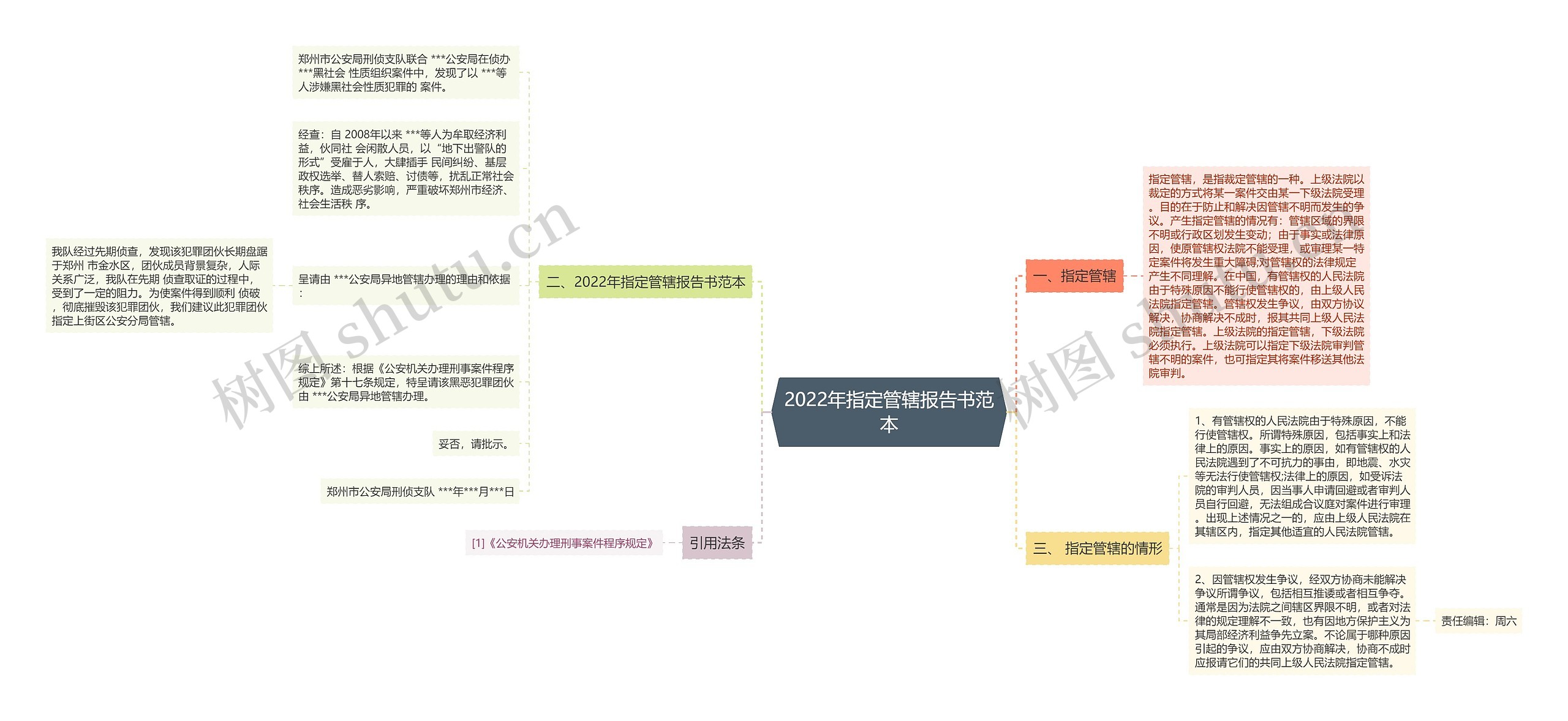 2022年指定管辖报告书范本