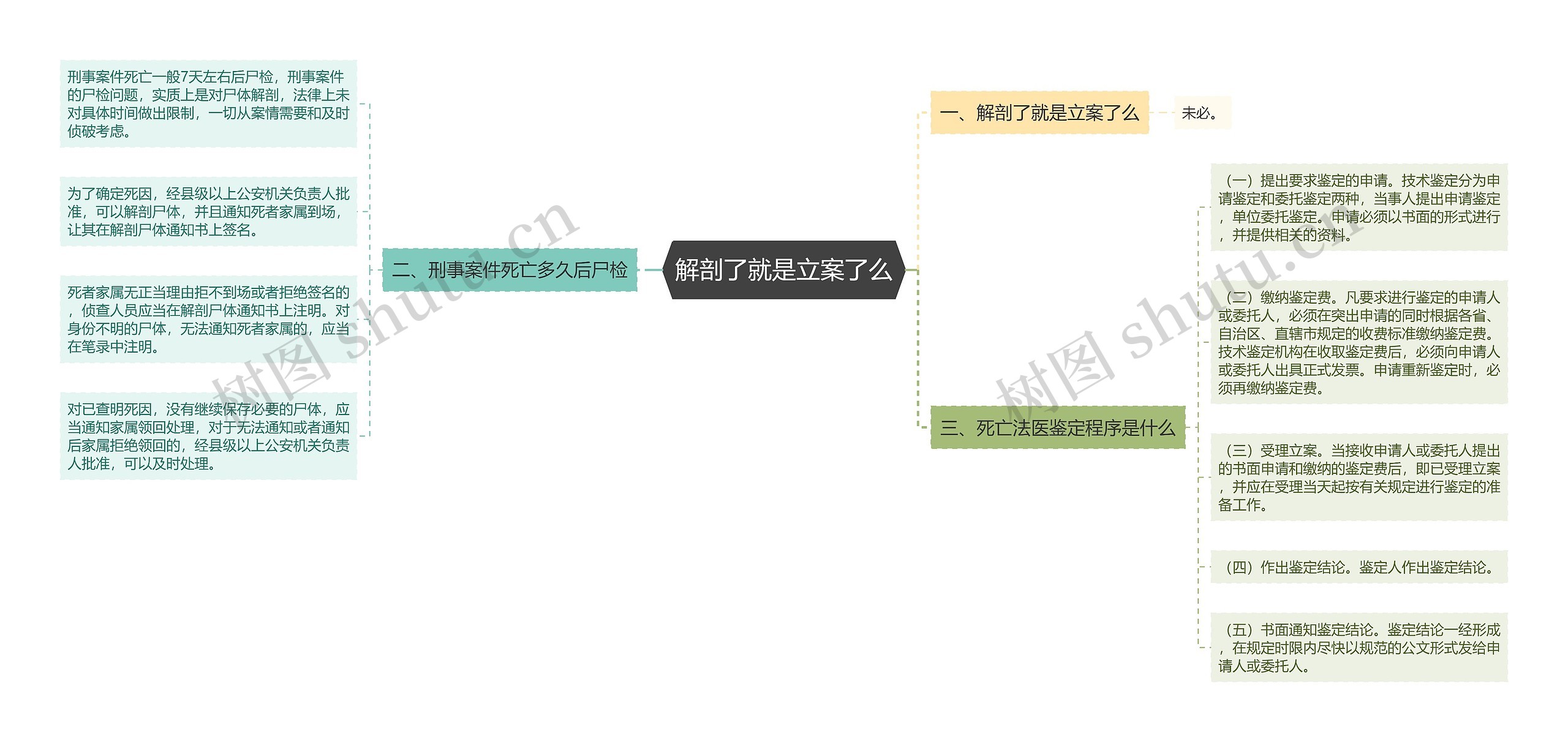 解剖了就是立案了么思维导图