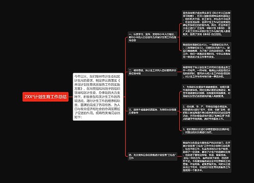 2XX*计划生育工作总结