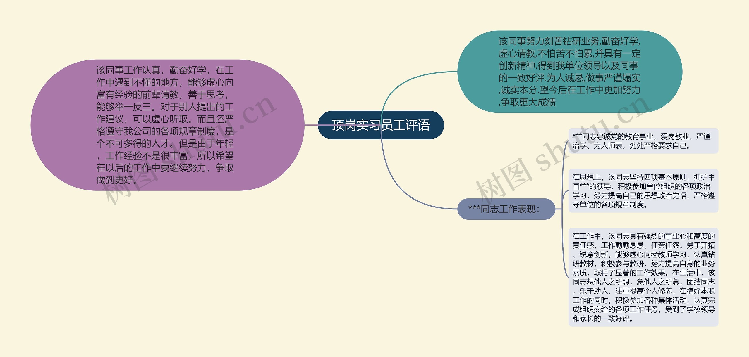 顶岗实习员工评语思维导图