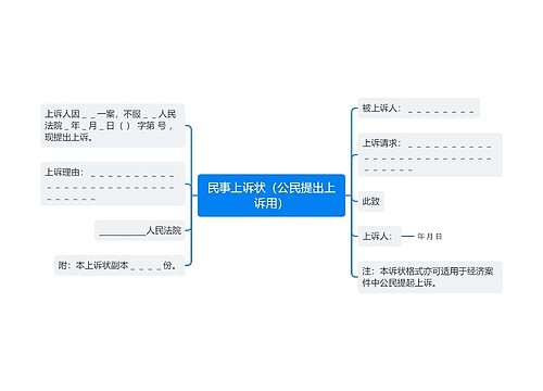 民事上诉状（公民提出上诉用）