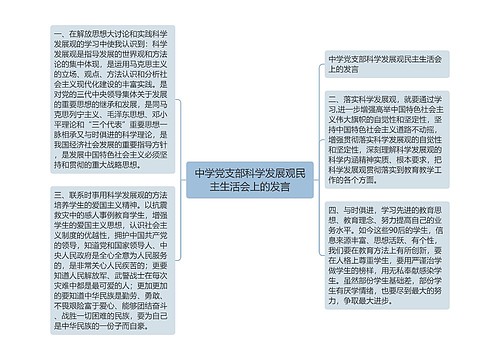 中学党支部科学发展观民主生活会上的发言