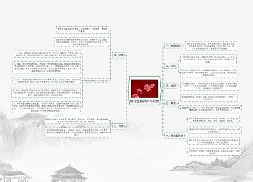 梅花盆景养护与观赏