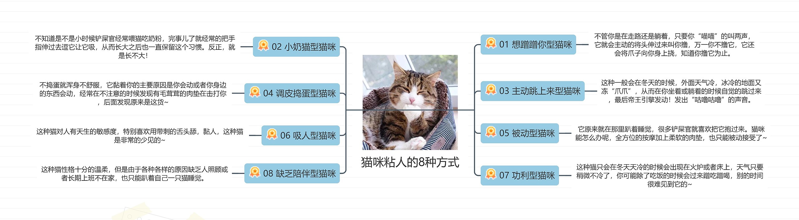 猫咪粘人的8种方式