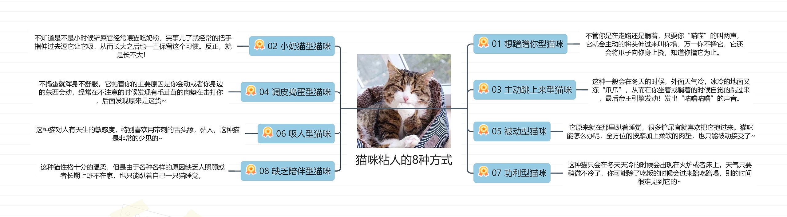 猫咪粘人的8种方式思维导图