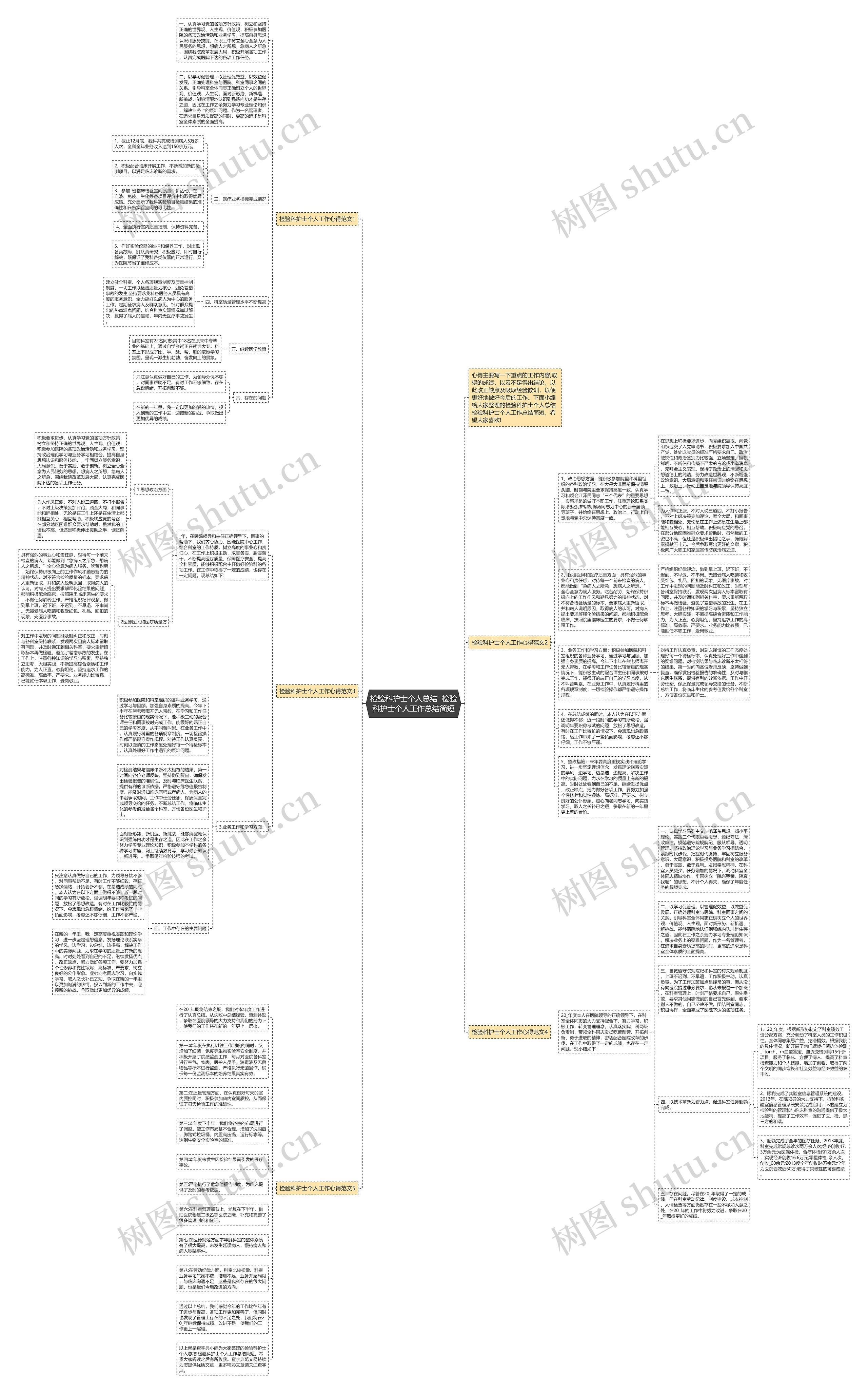 检验科护士个人总结  检验科护士个人工作总结简短思维导图