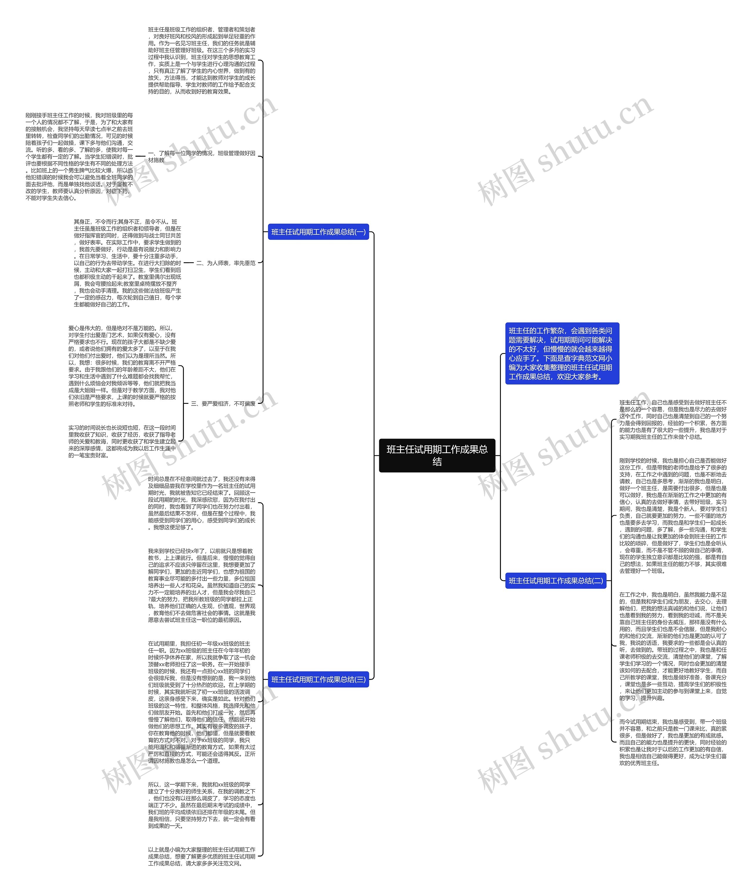 班主任试用期工作成果总结思维导图