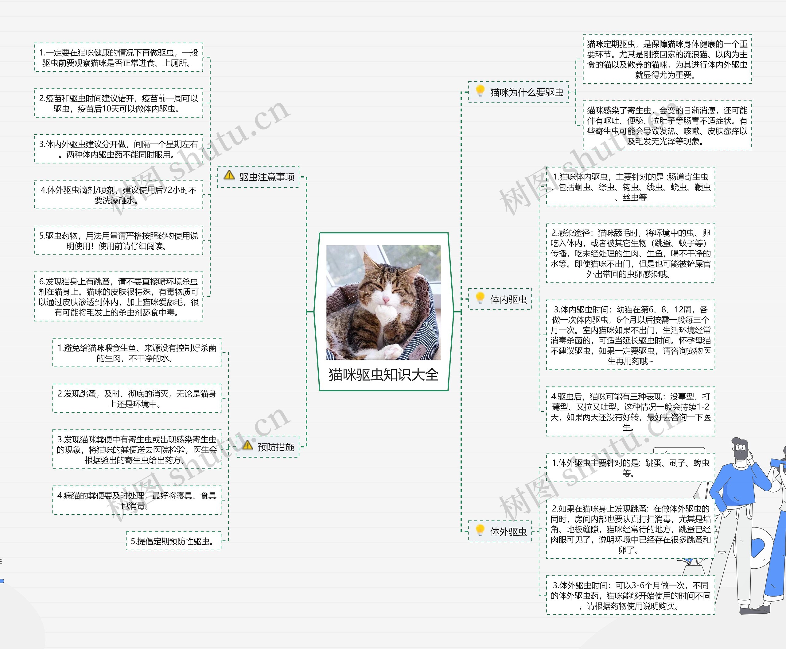 猫咪驱虫知识大全思维导图高清图 猫咪驱虫知识大全思维导图