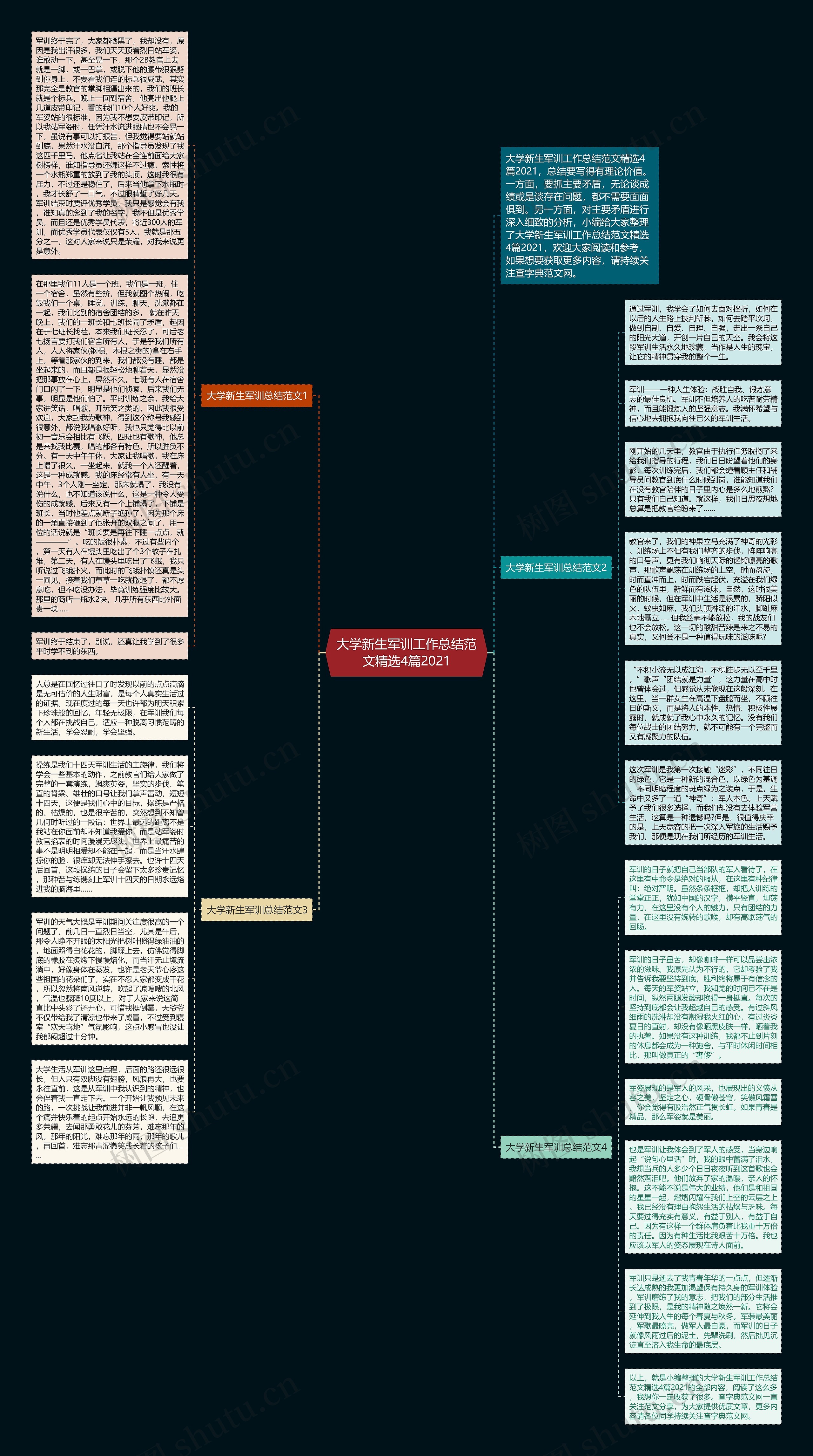 大学新生军训工作总结范文精选4篇2021思维导图