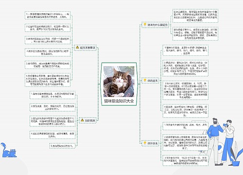 猫咪驱虫知识大全