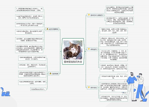 猫咪驱虫知识大全