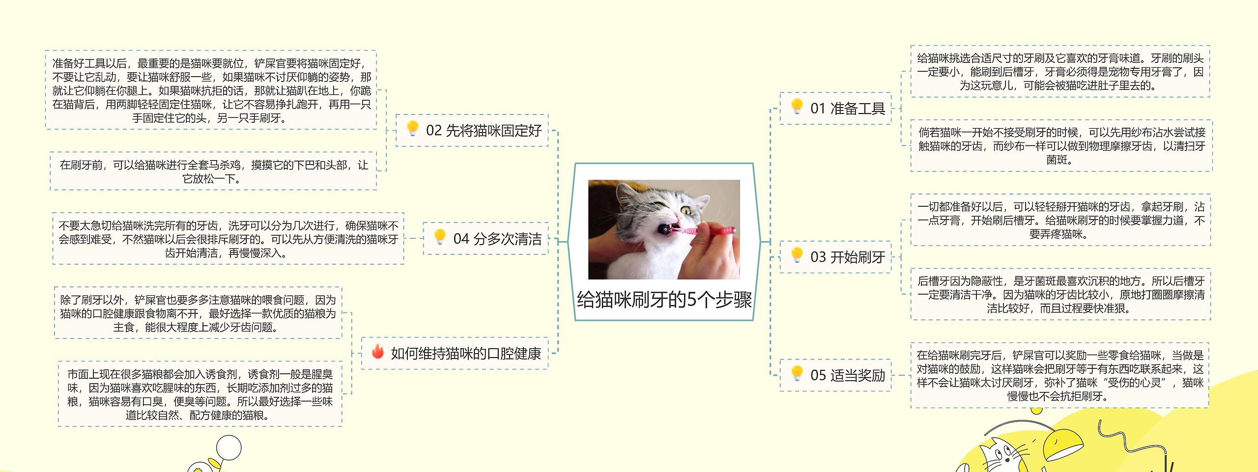 给猫咪刷牙的5个步骤思维导图