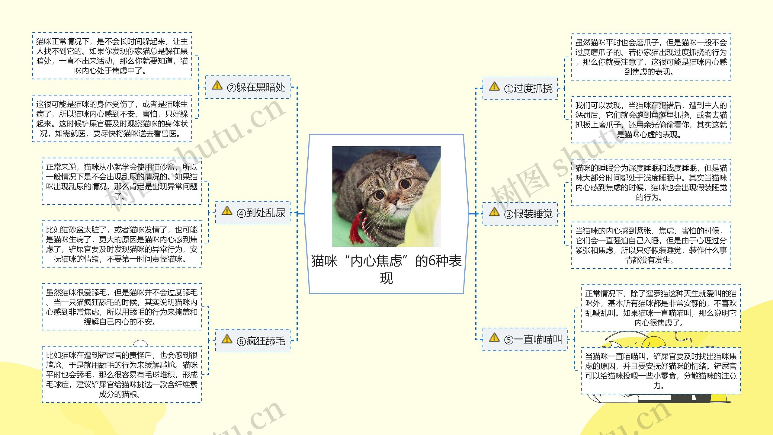 猫咪“内心焦虑”的6种表现