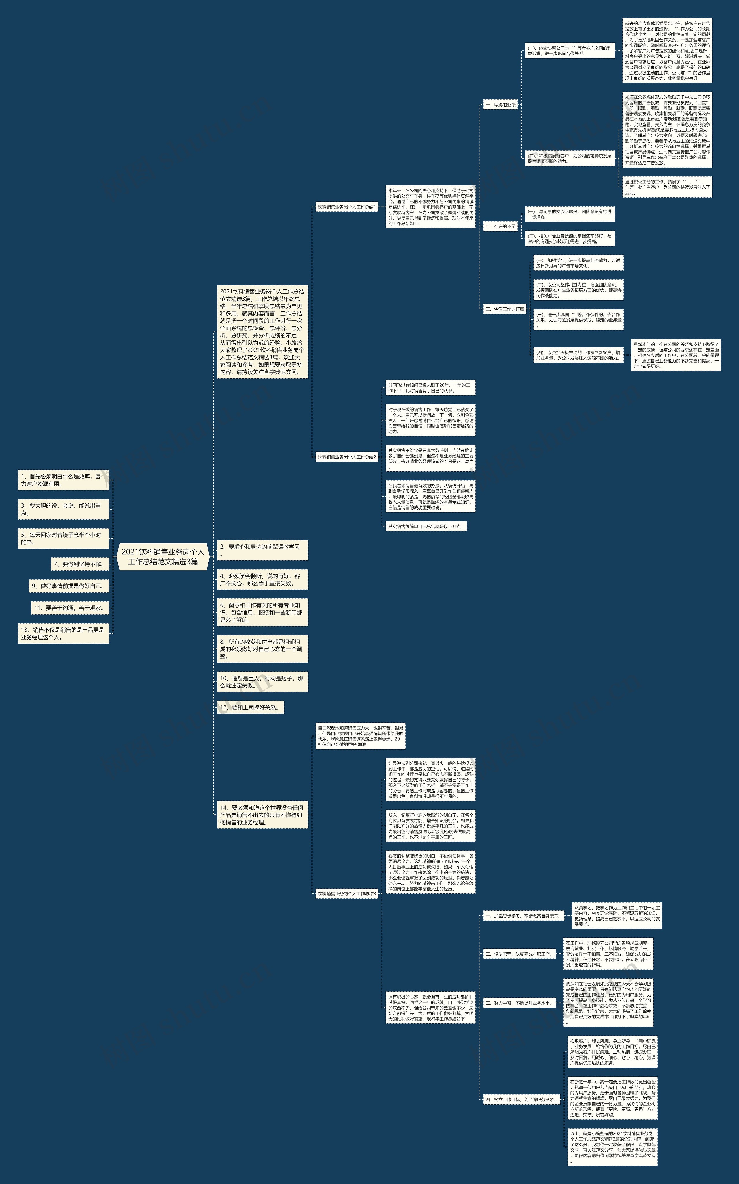 2021饮料销售业务岗个人工作总结范文精选3篇思维导图