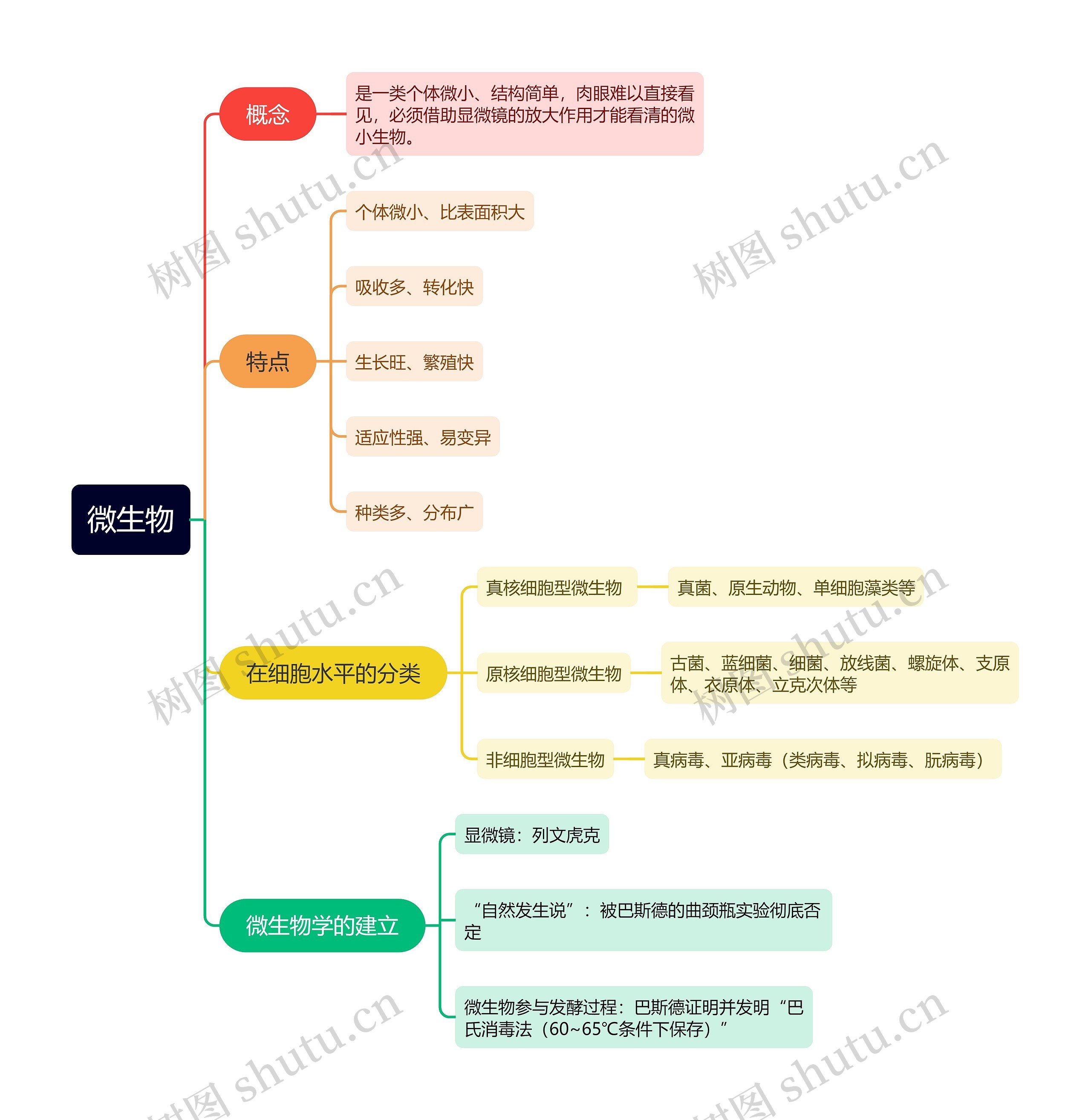 微生物思维导图