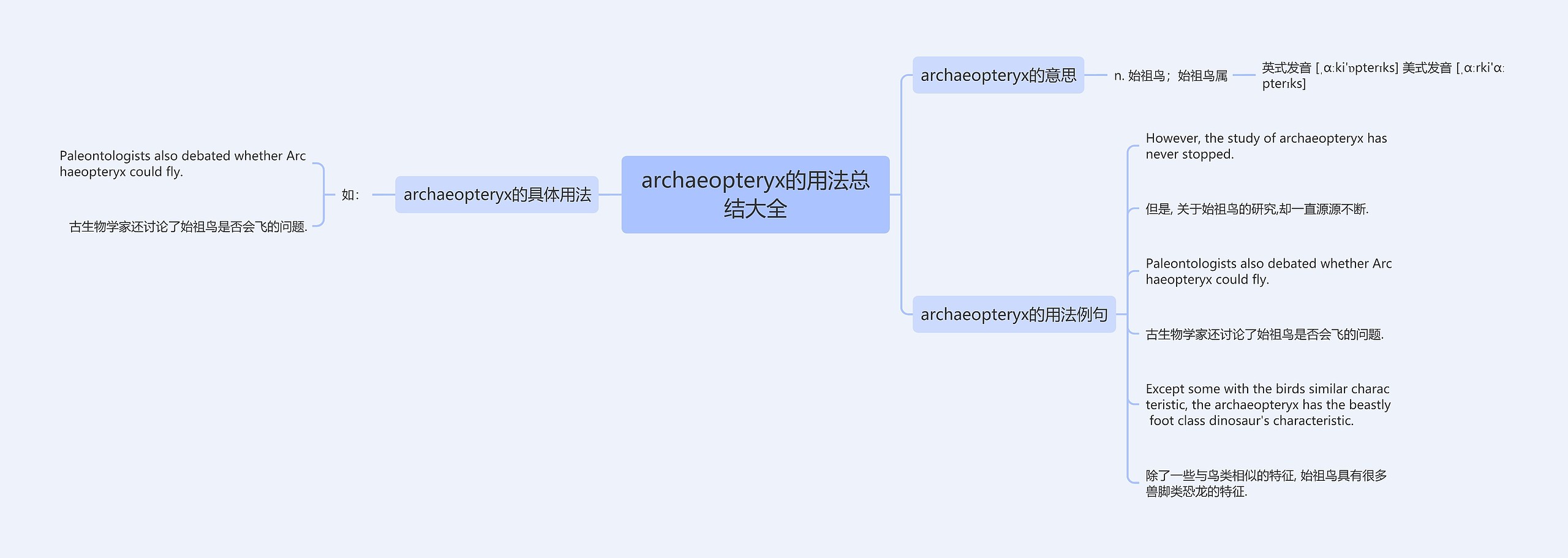 archaeopteryx的用法总结大全思维导图