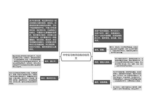 中学实习教师自我总结范文