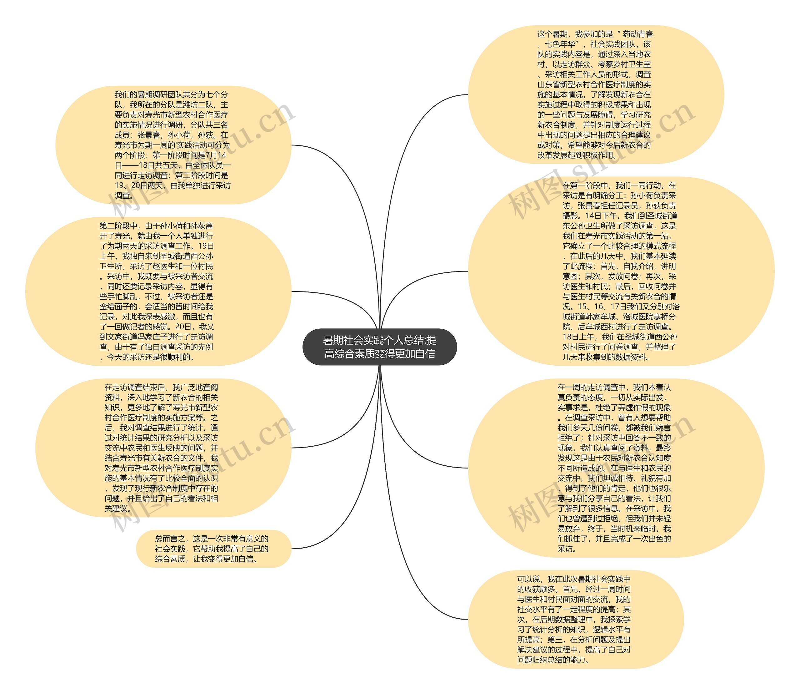 暑期社会实践个人总结:提高综合素质变得更加自信思维导图