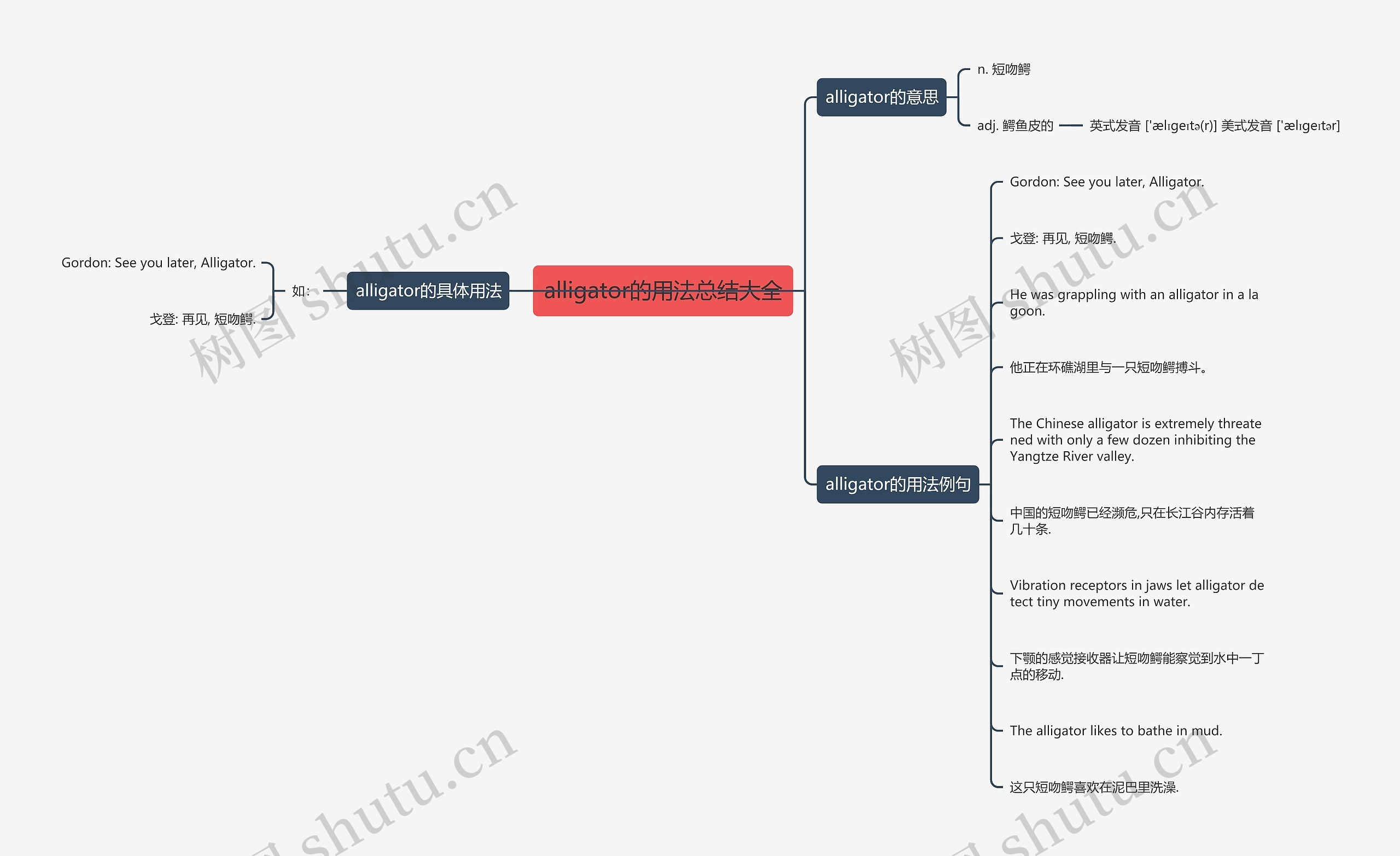 alligator的用法总结大全思维导图