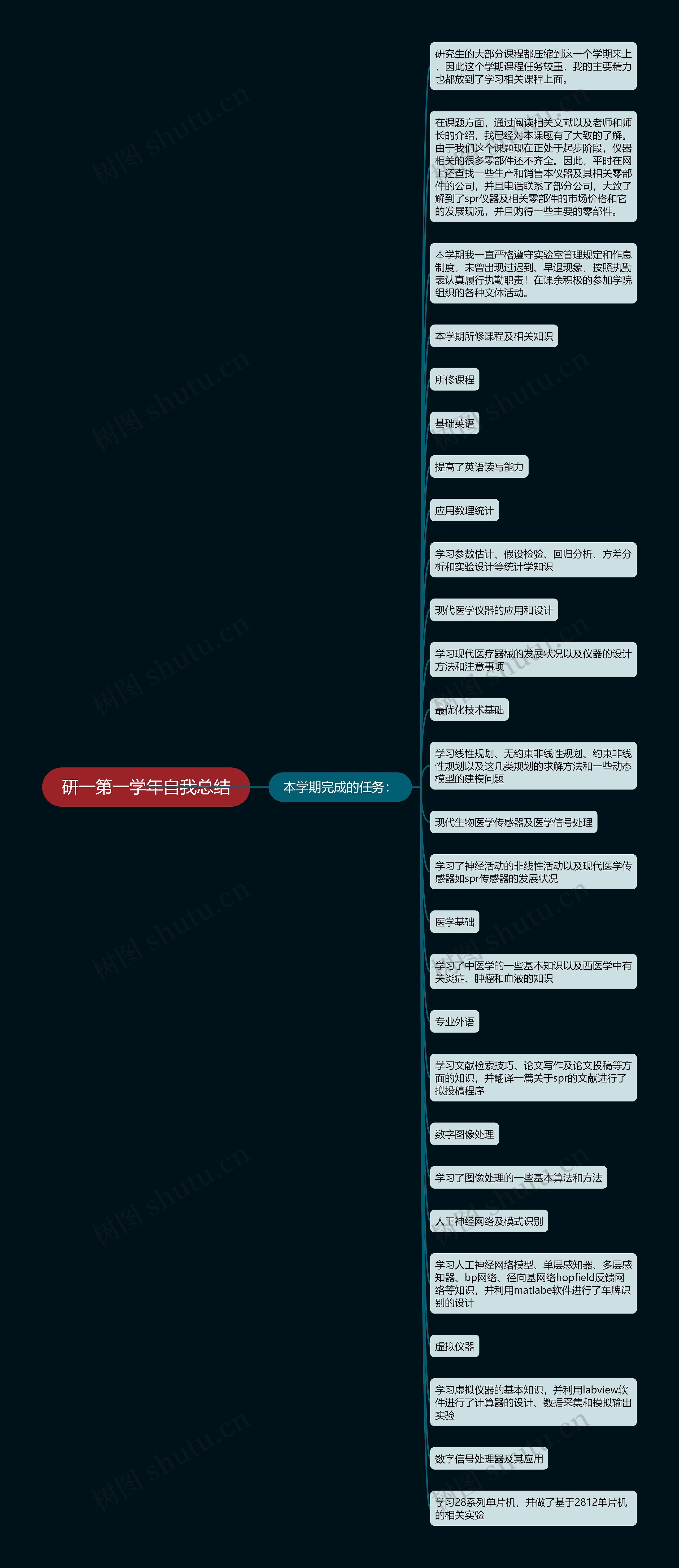 研一第一学年自我总结思维导图