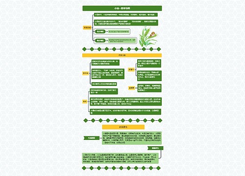 小满--思维导图