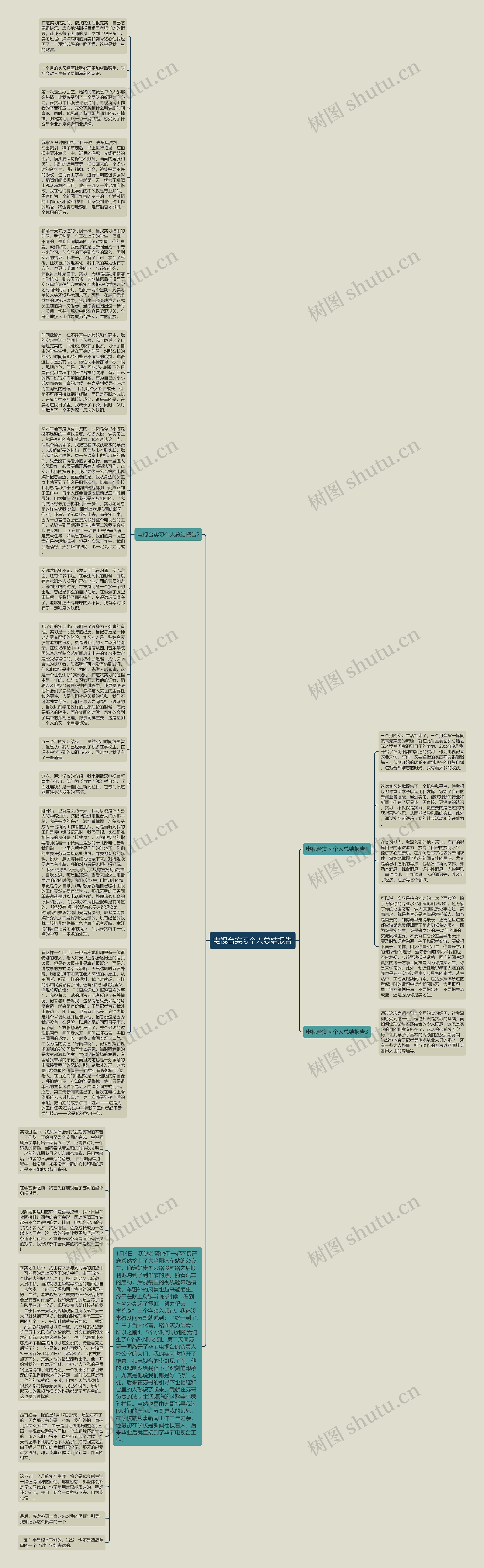 电视台实习个人总结报告思维导图