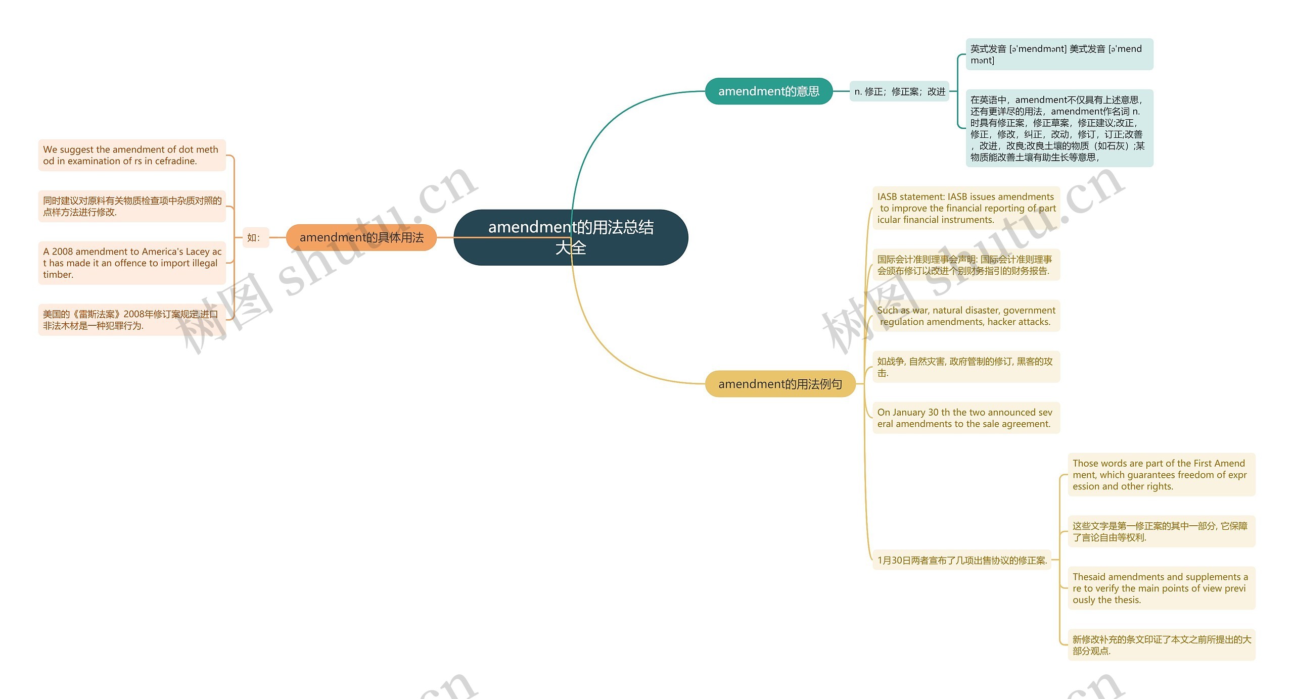amendment的用法总结大全思维导图