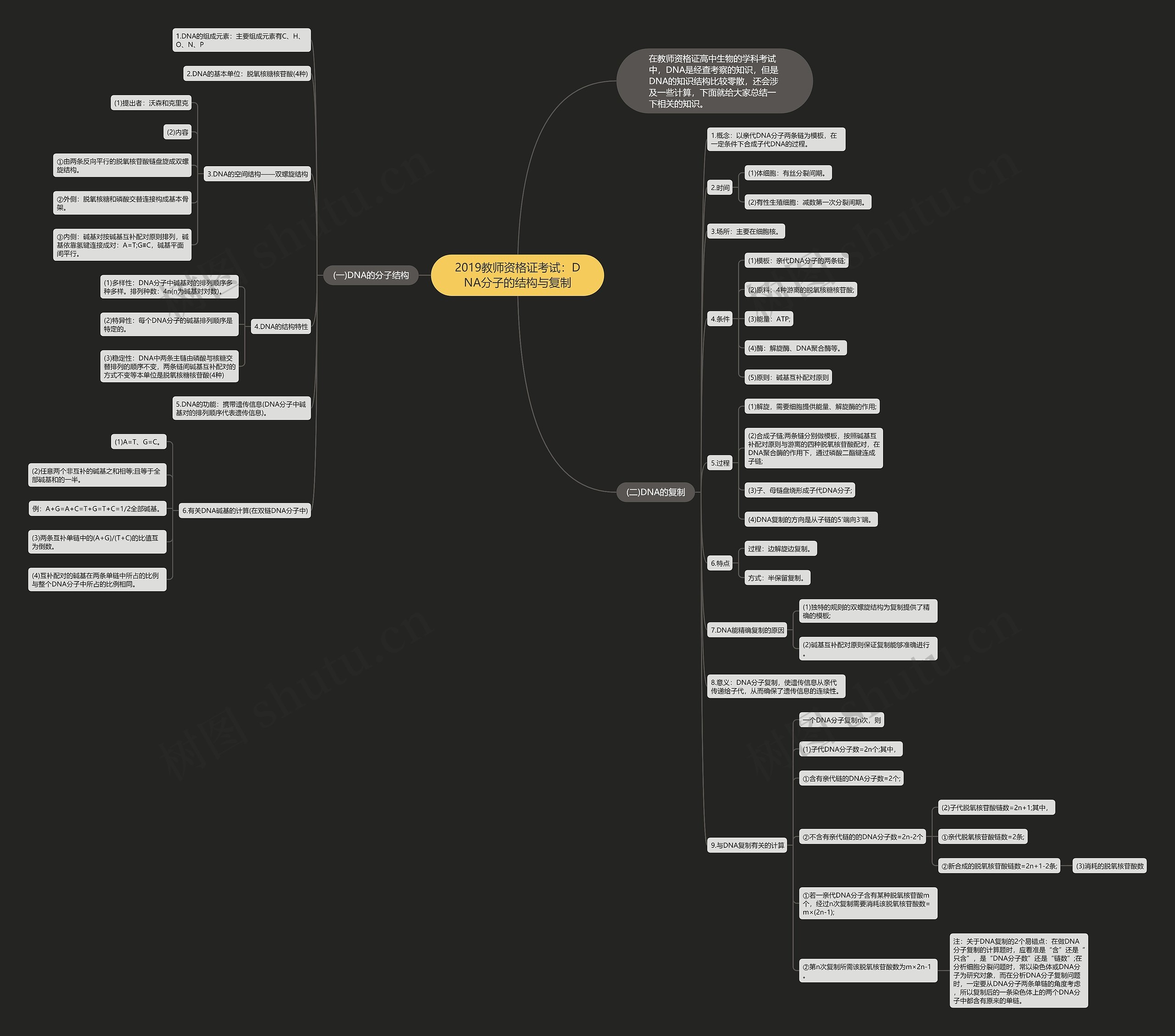 2019教师资格证考试：DNA分子的结构与复制思维导图