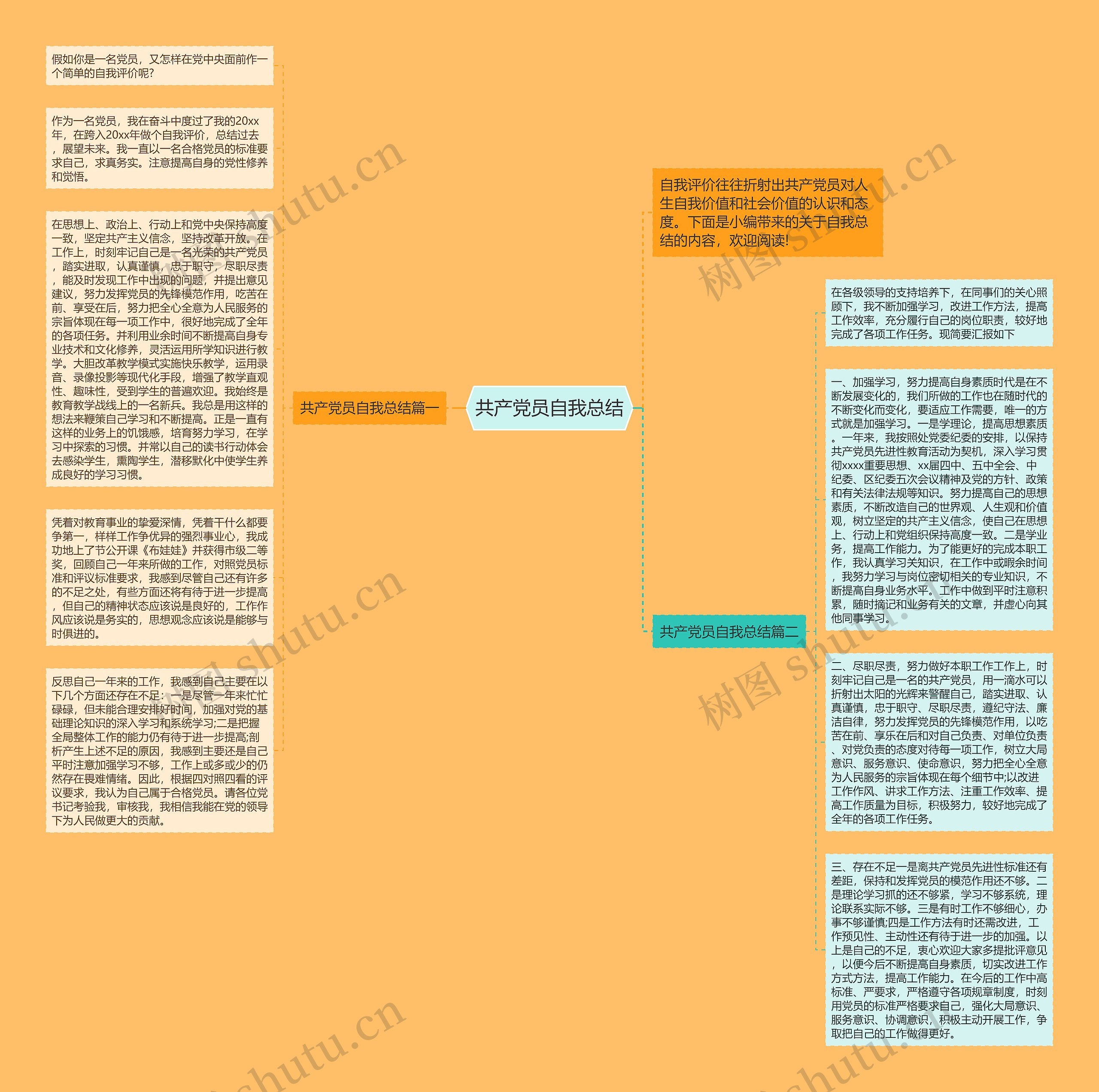 共产党员自我总结思维导图