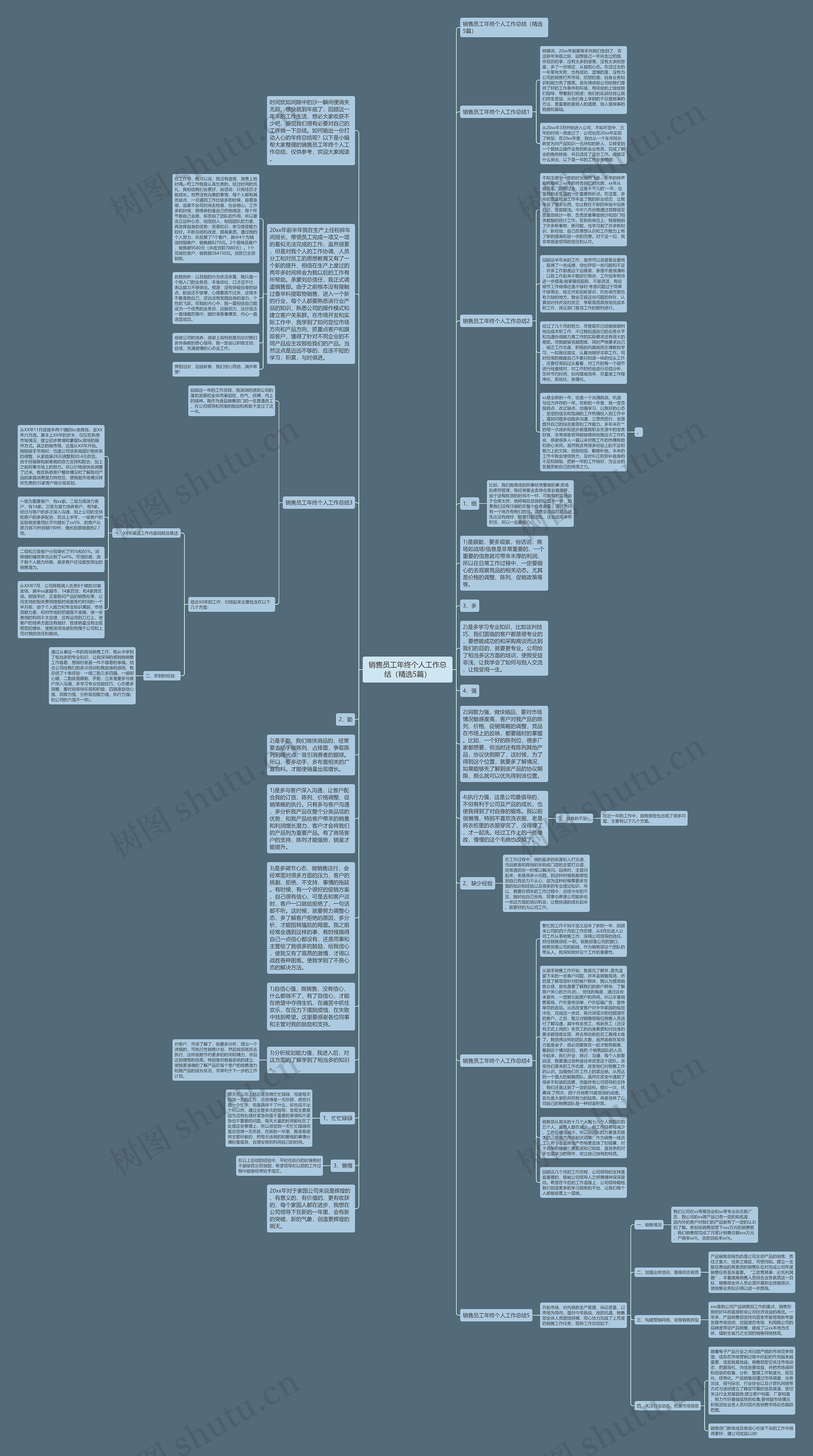 销售员工年终个人工作总结（精选5篇）思维导图