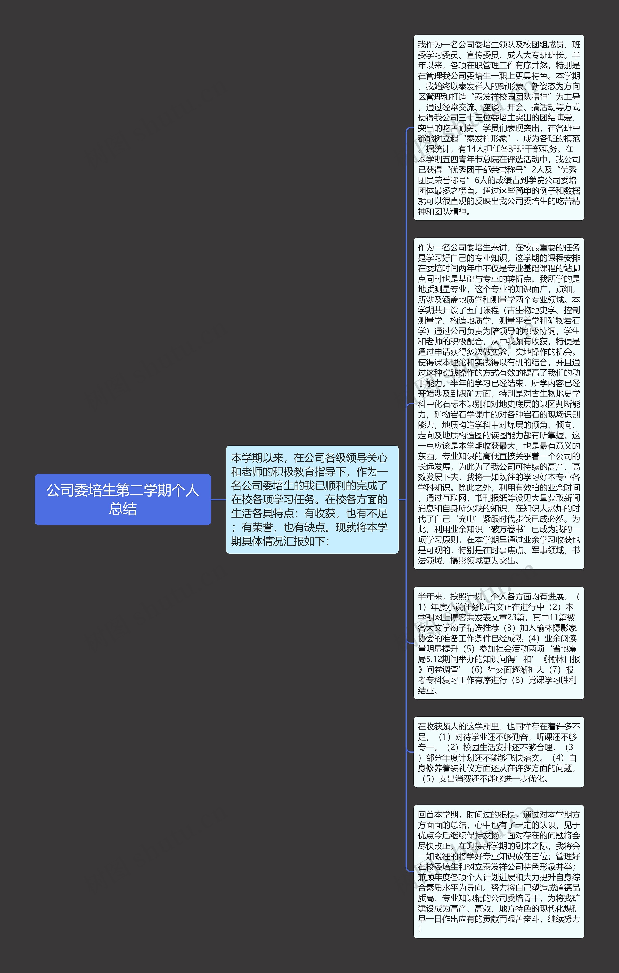 公司委培生第二学期个人总结思维导图