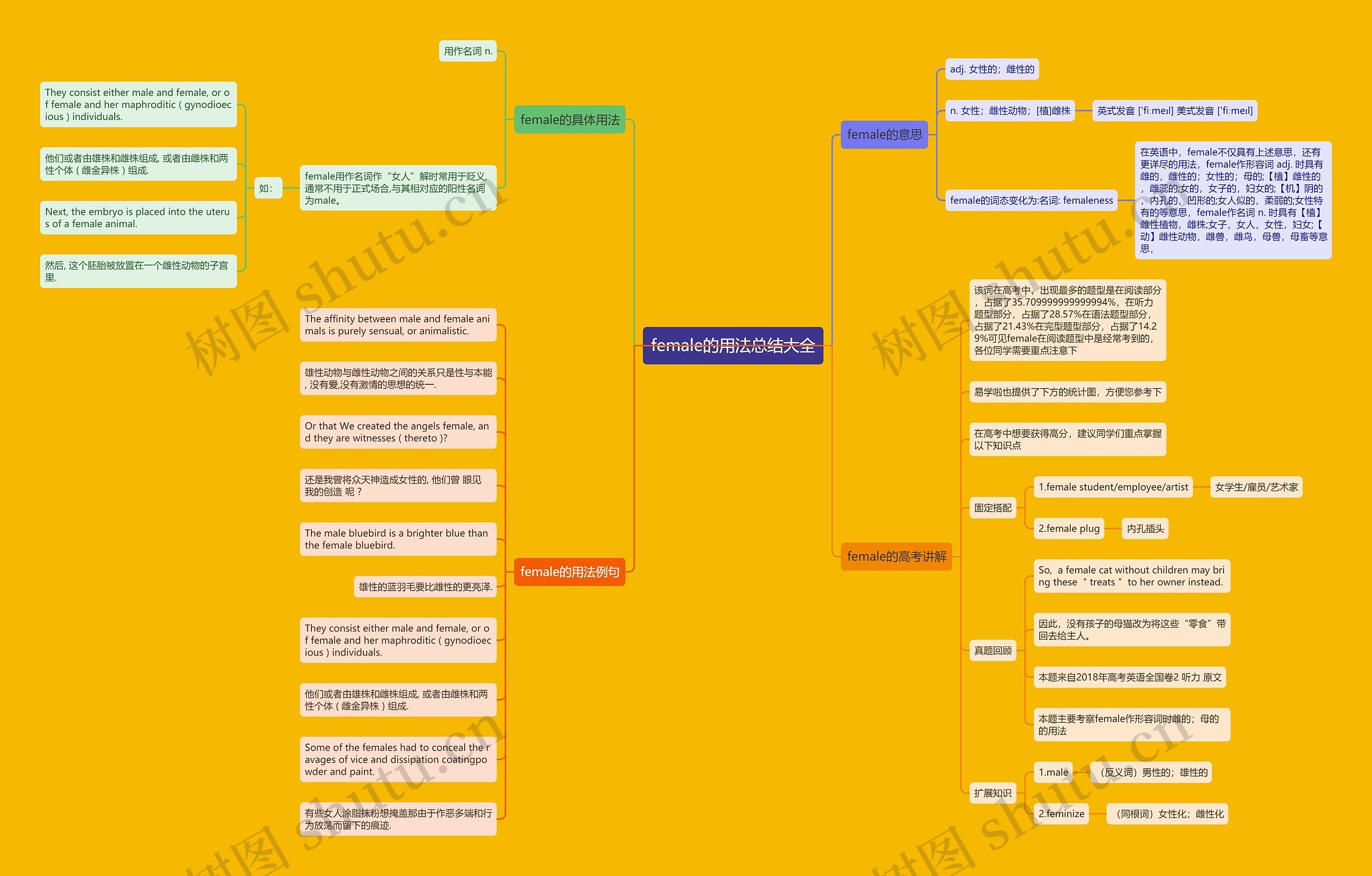 female的用法总结大全思维导图