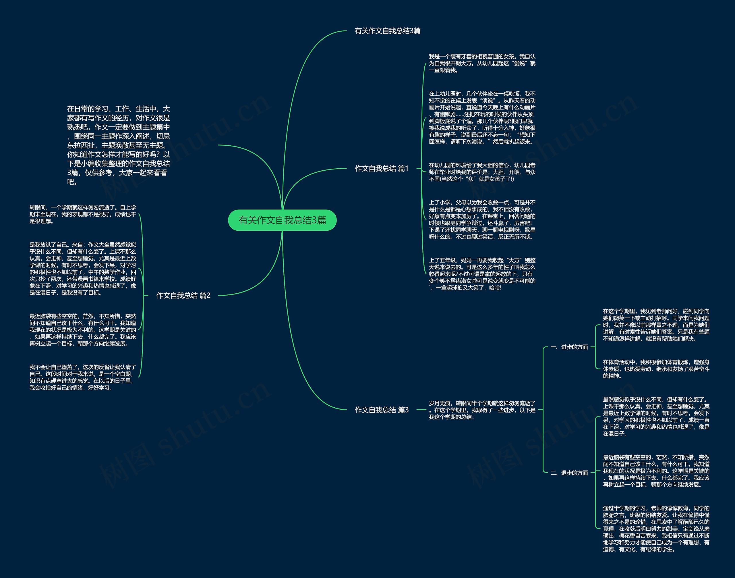有关作文自我总结3篇思维导图