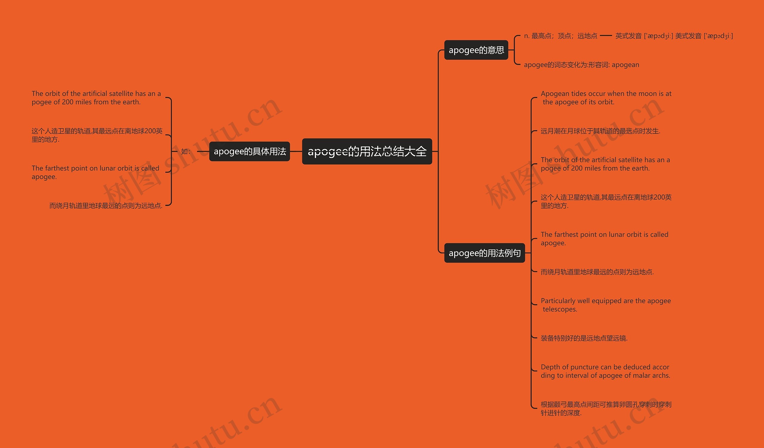 apogee的用法总结大全思维导图