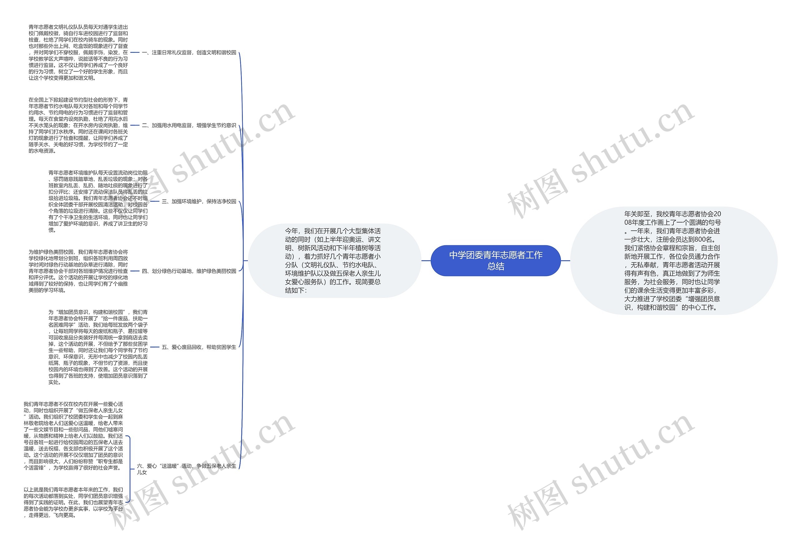 中学团委青年志愿者工作总结