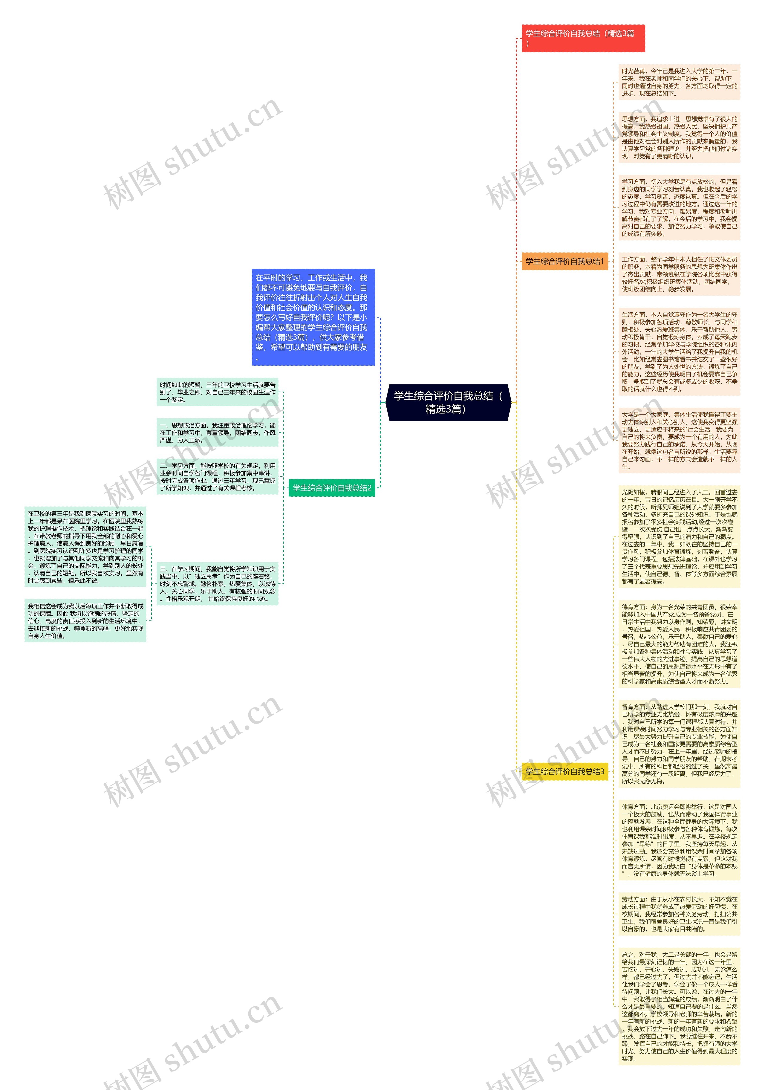 学生综合评价自我总结（精选3篇）思维导图