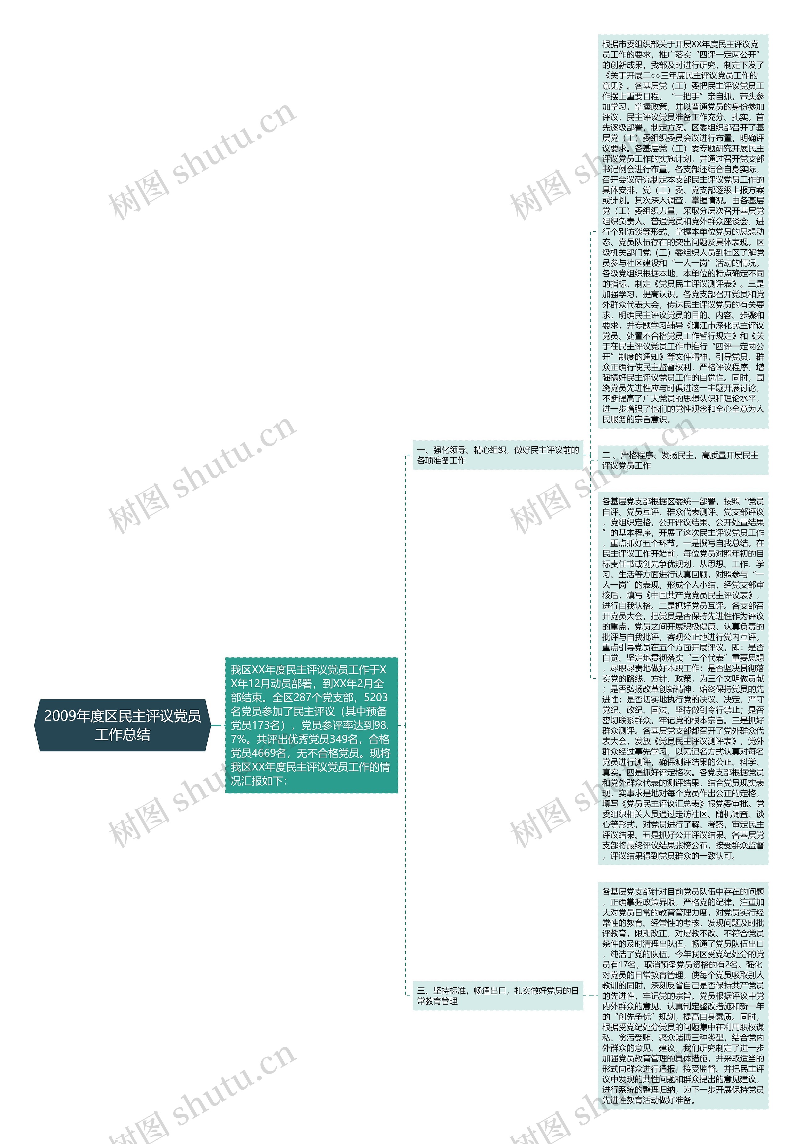 2009年度区民主评议党员工作总结思维导图