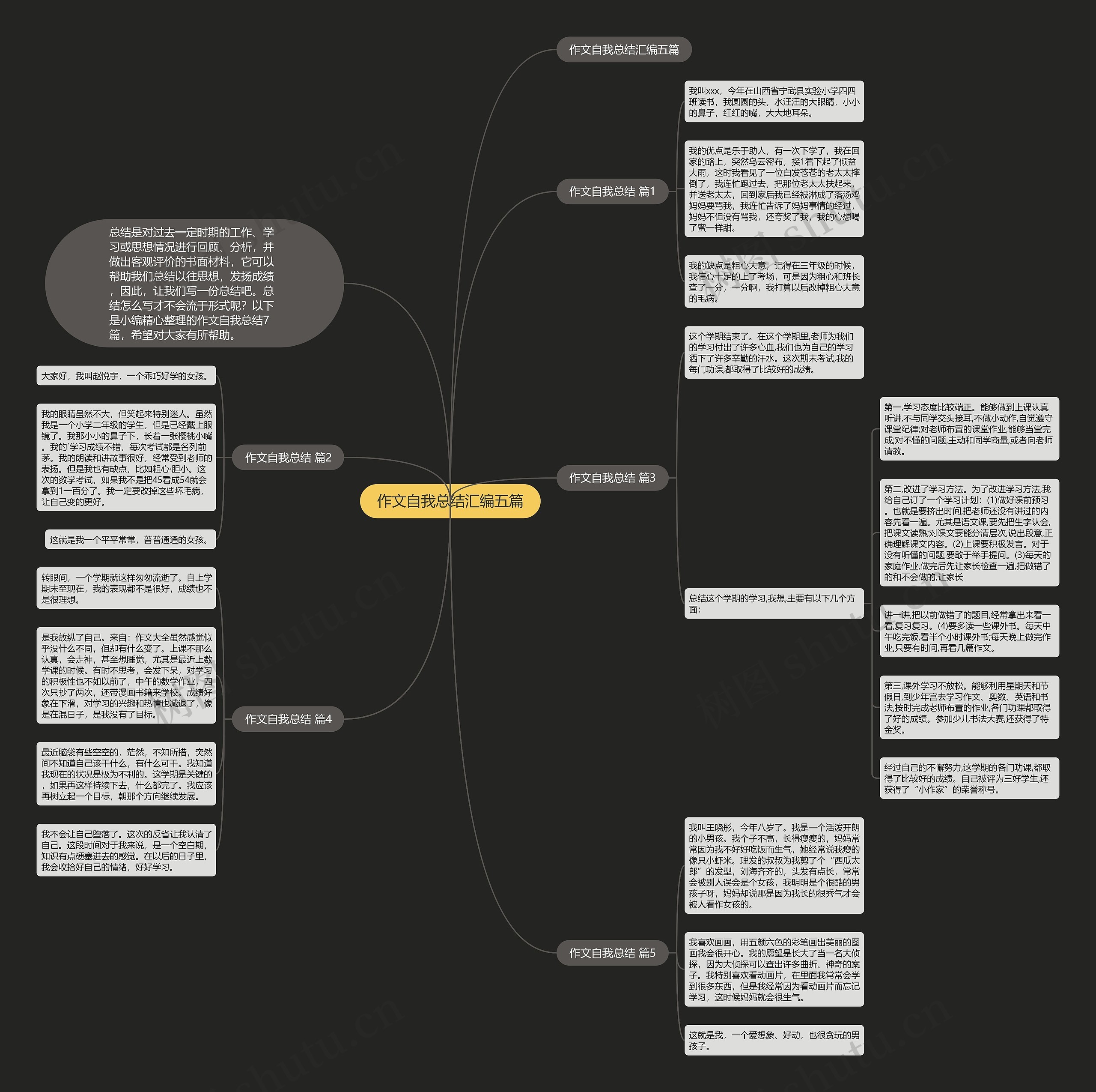 作文自我总结汇编五篇思维导图