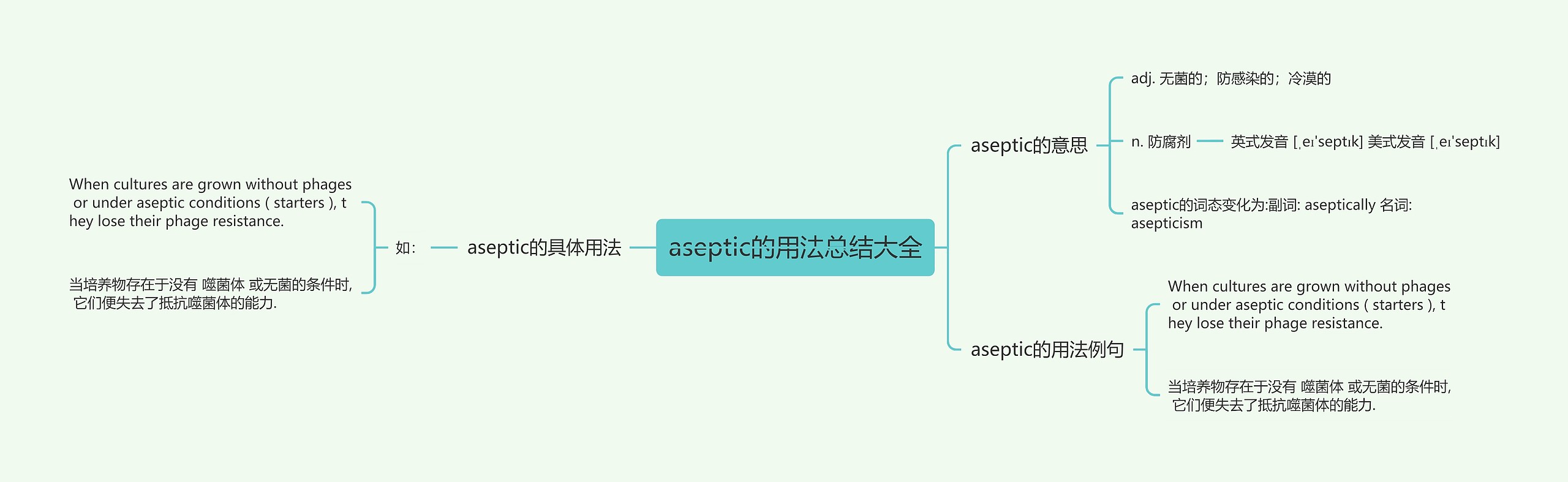 aseptic的用法总结大全思维导图