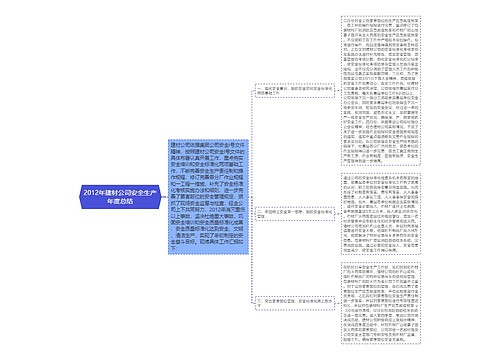 2012年建材公司安全生产年度总结