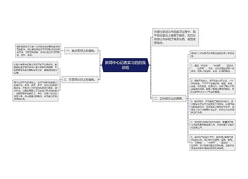 新闻中心记者实习的自我总结