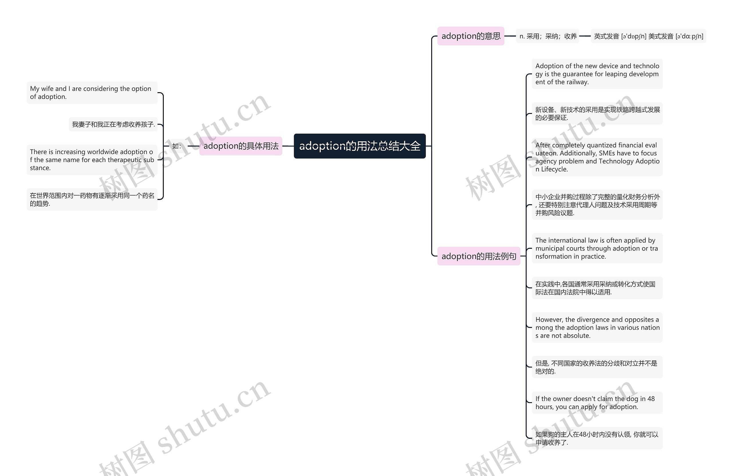 adoption的用法总结大全思维导图