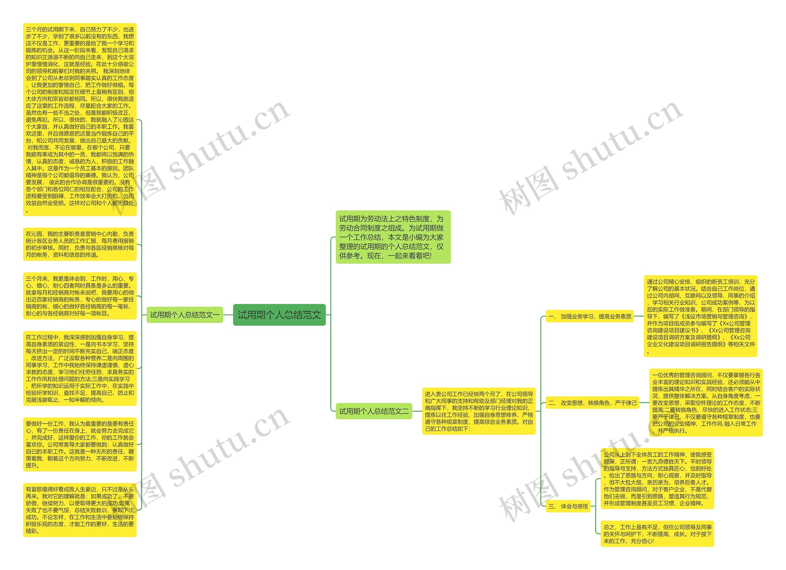试用期个人总结范文思维导图