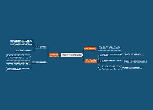 director的用法总结大全