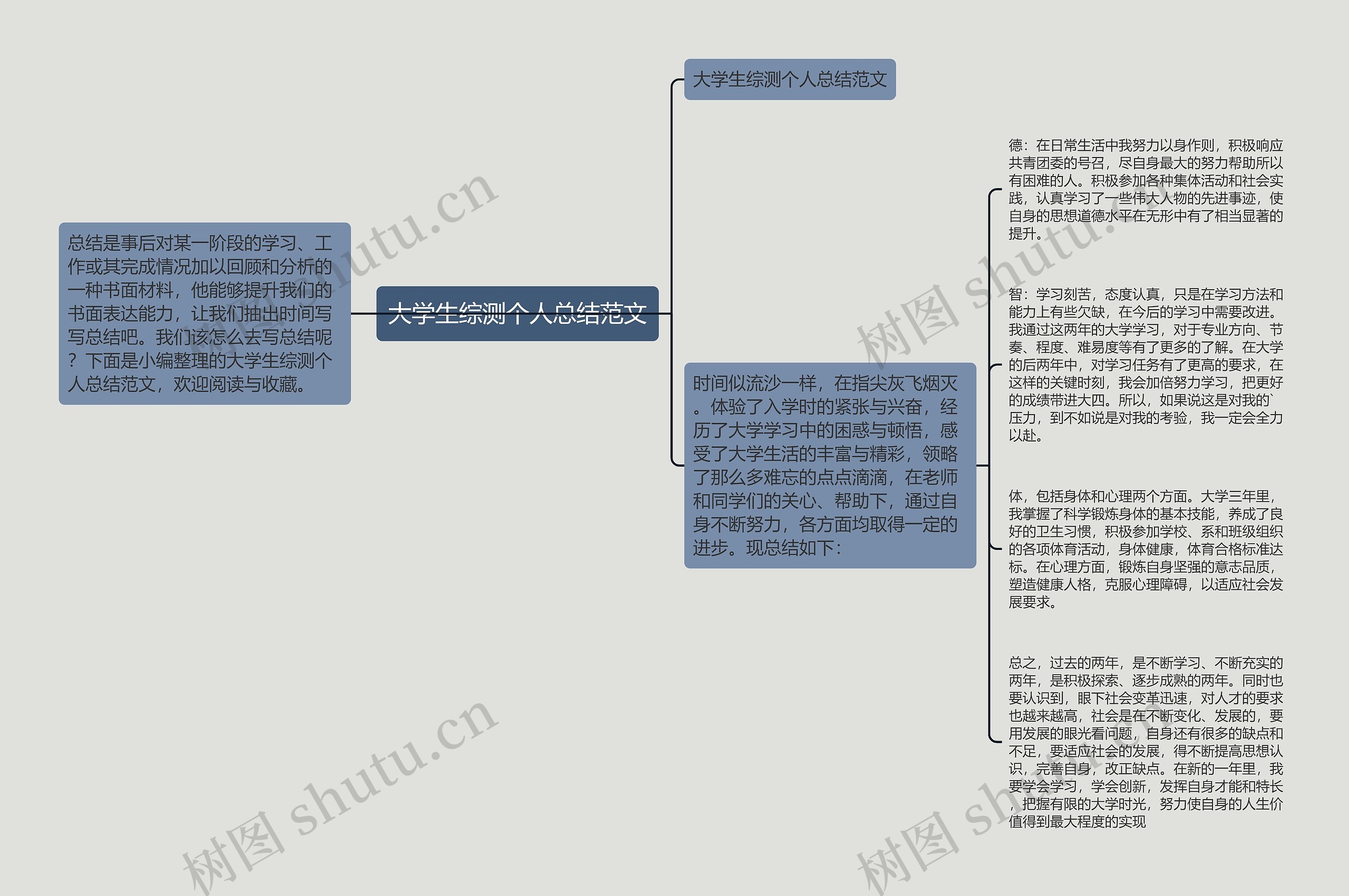 大学生综测个人总结范文思维导图