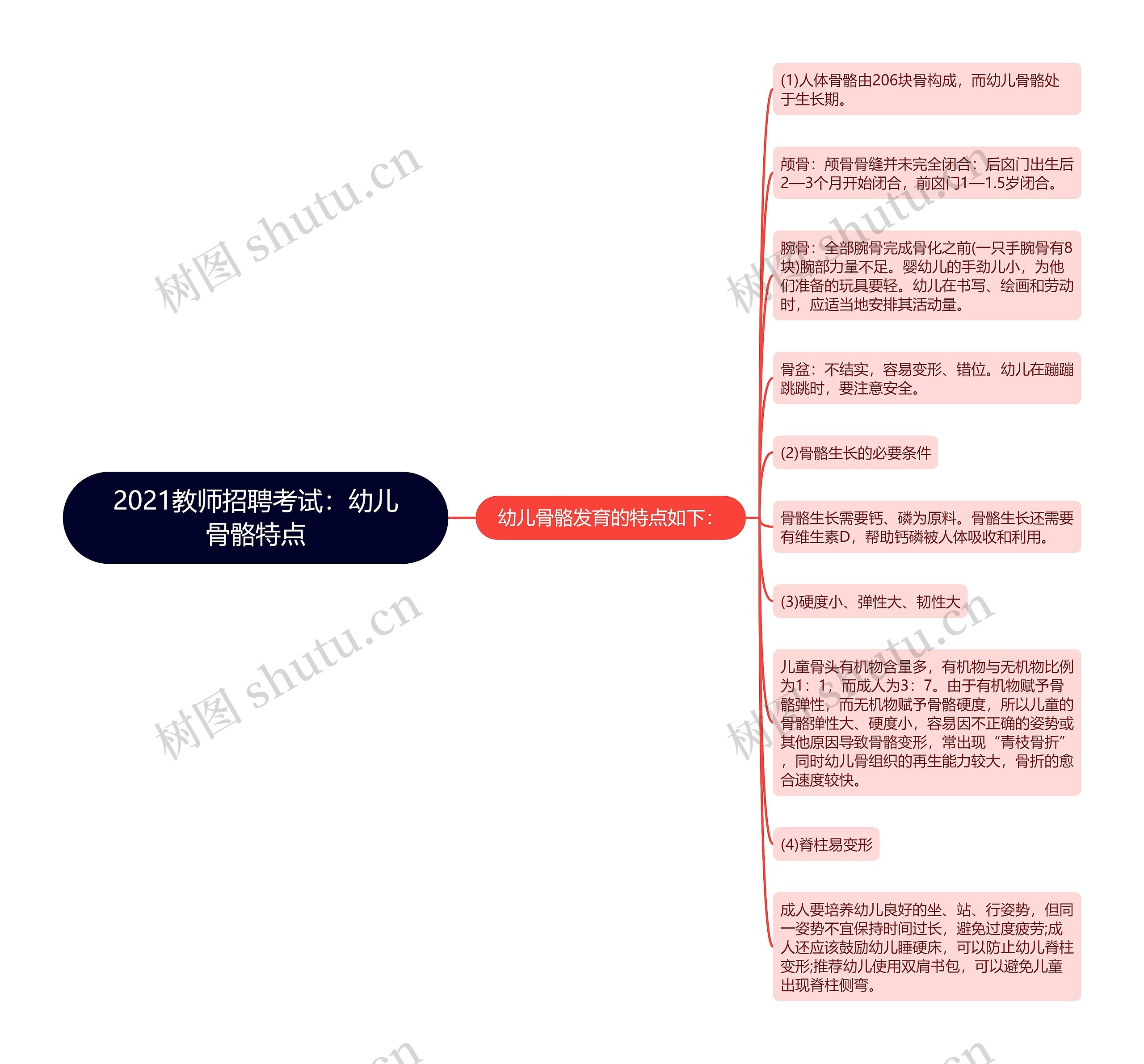 2021教师招聘考试：幼儿骨骼特点思维导图