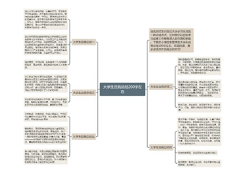 大学生自我总结200字左右