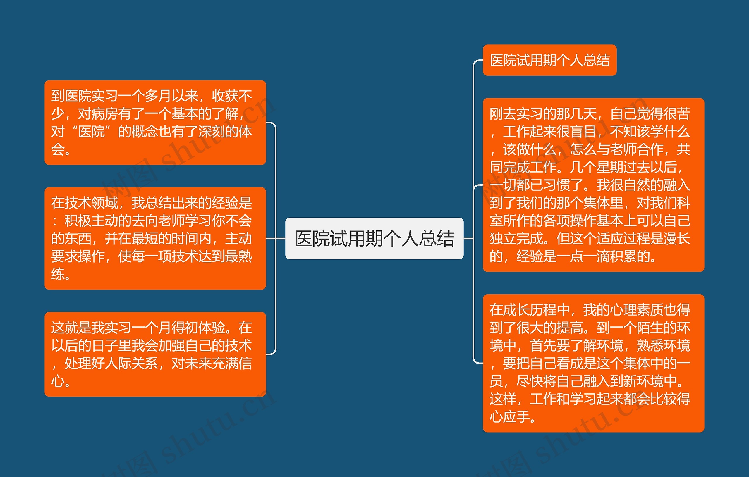 医院试用期个人总结