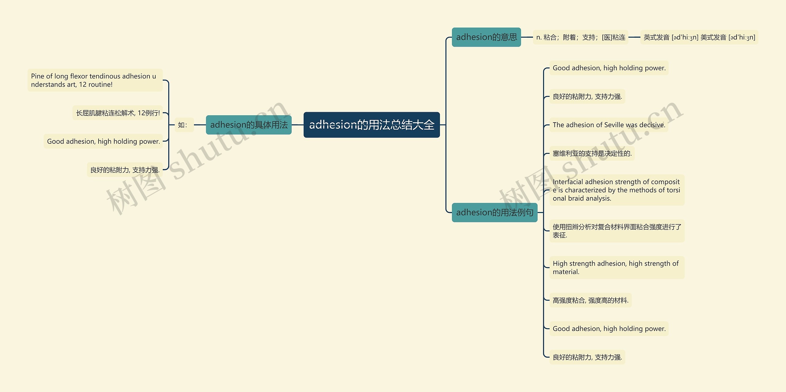 adhesion的用法总结大全思维导图
