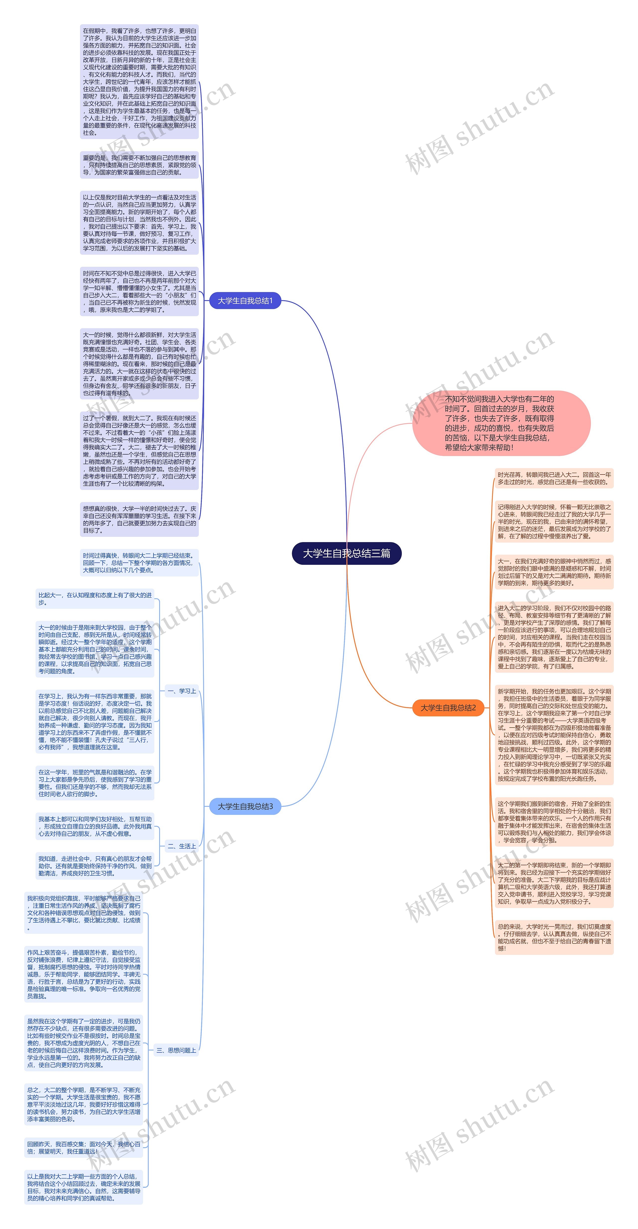 大学生自我总结三篇思维导图